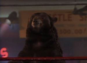 But it looks so cuddly. 